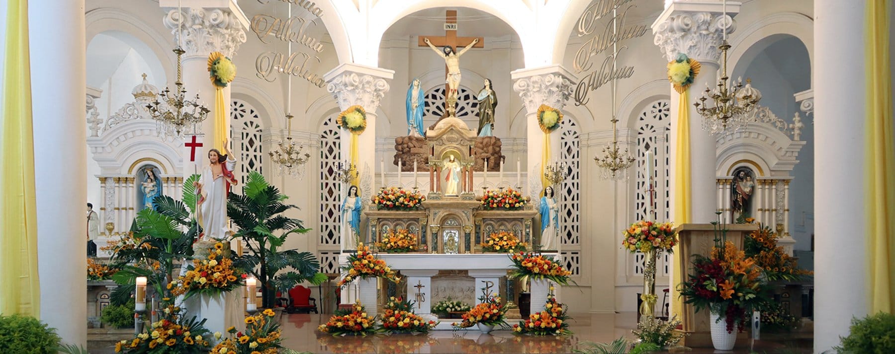 Giáo xứ Tân Định – Thánh Tâm Chúa Giêsu